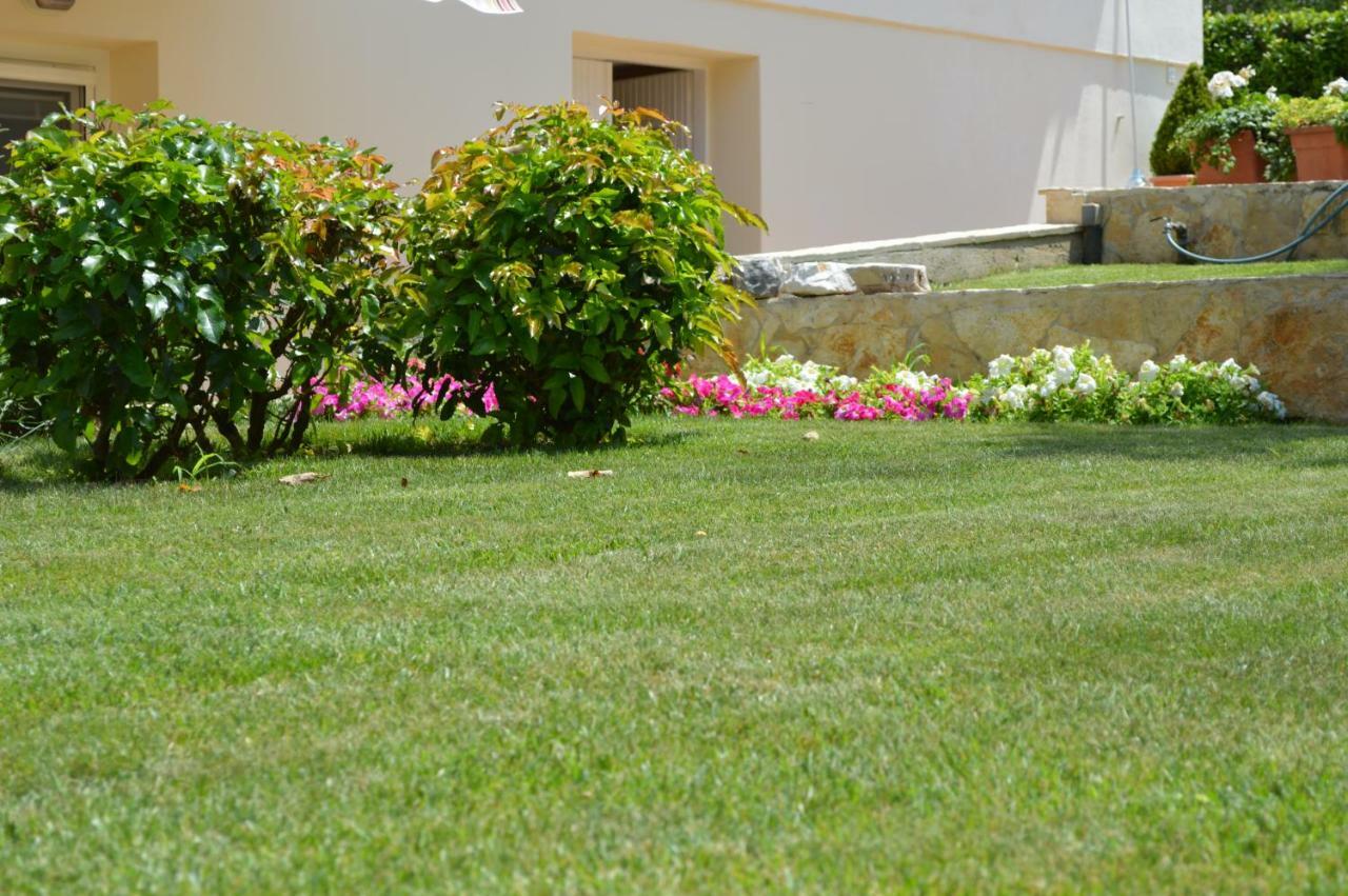 Apartman Milin *
